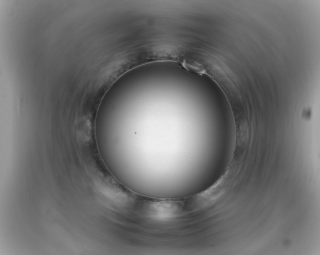 X0000092090183200709121520