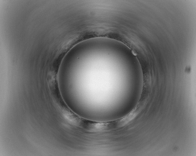 X0000092090184200709121520