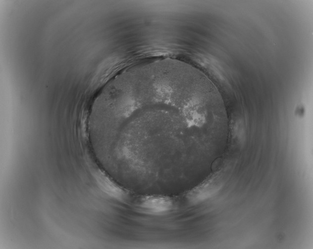 X0000092090185200709121520