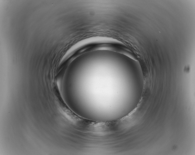 X0000092090186200709121520