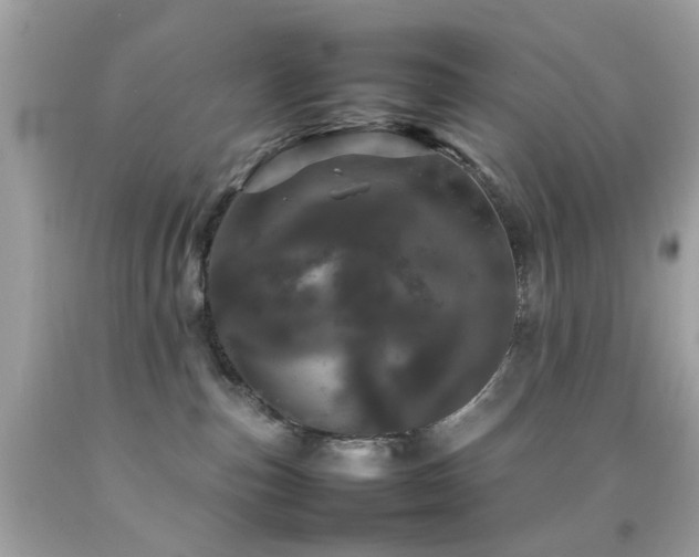 X0000092090187200709121520