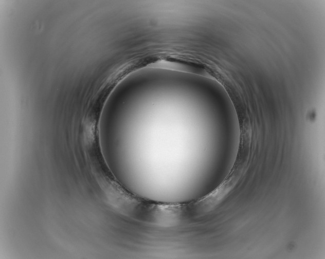 X0000092090188200709121520