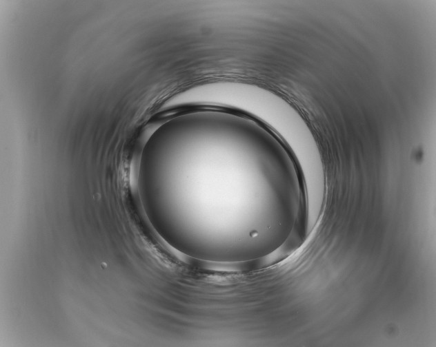 X0000092090190200709121520