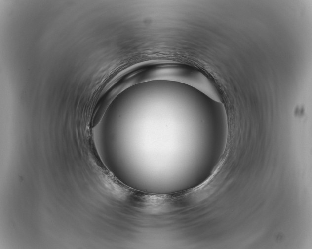 X0000092090192200709121520