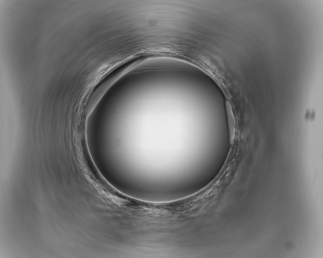 X0000092090193200709121519