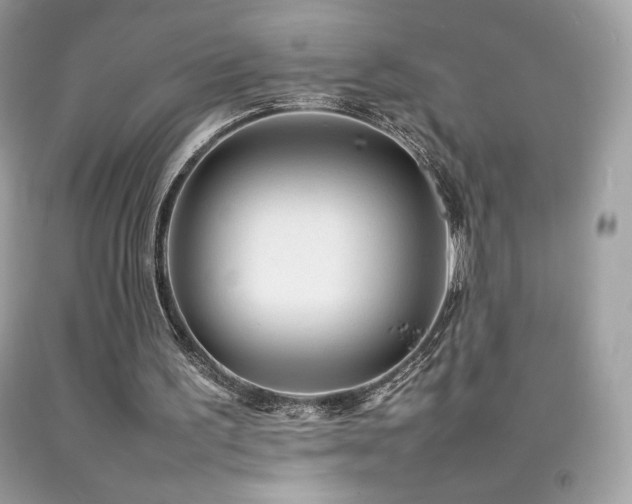 X0000092090195200709121519