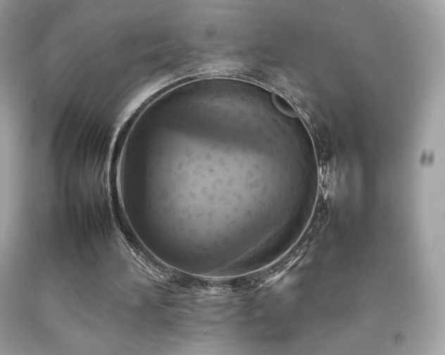 X0000092090196200709121519