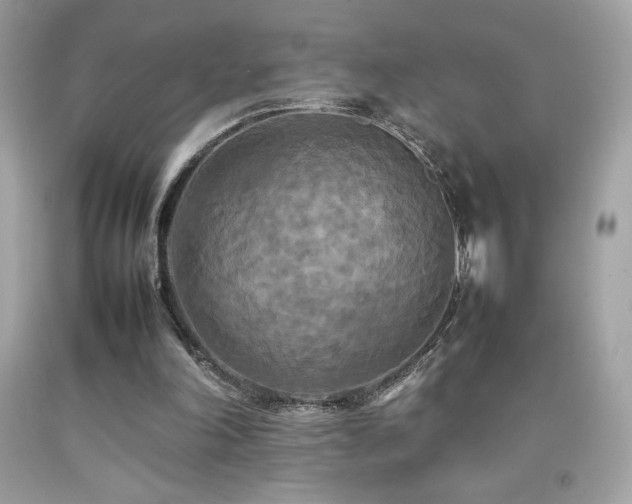 X0000092090198200709121519