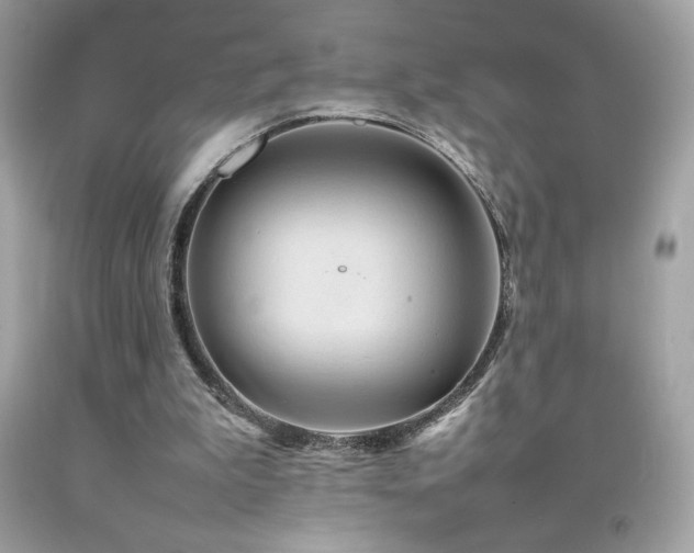 X0000092090199200709121519