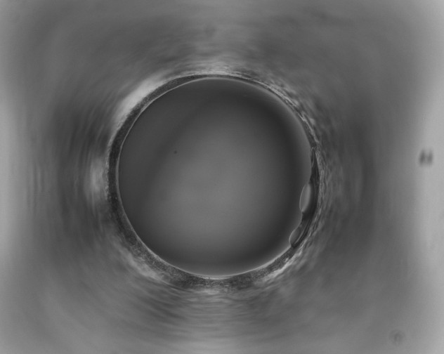 X0000092090200200709121519