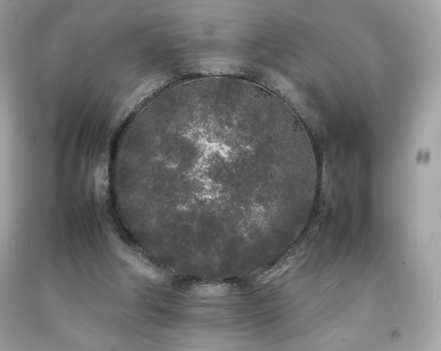 X0000092090202200709121519