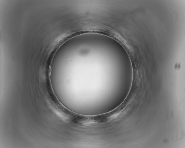 X0000092090203200709121519