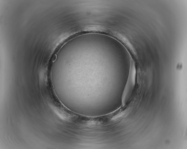X0000092090204200709121519