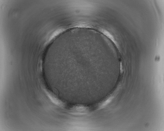 X0000092090205200709121519