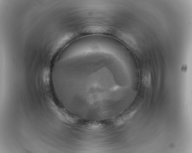 X0000092090206200709121519