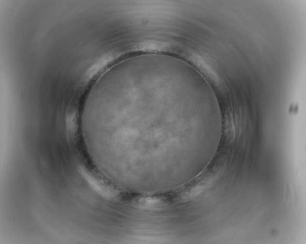 X0000092090208200709121519