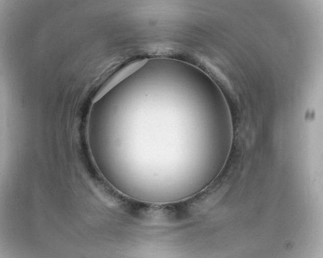 X0000092090209200709121519