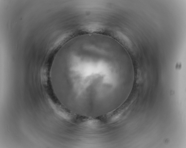 X0000092090210200709121519