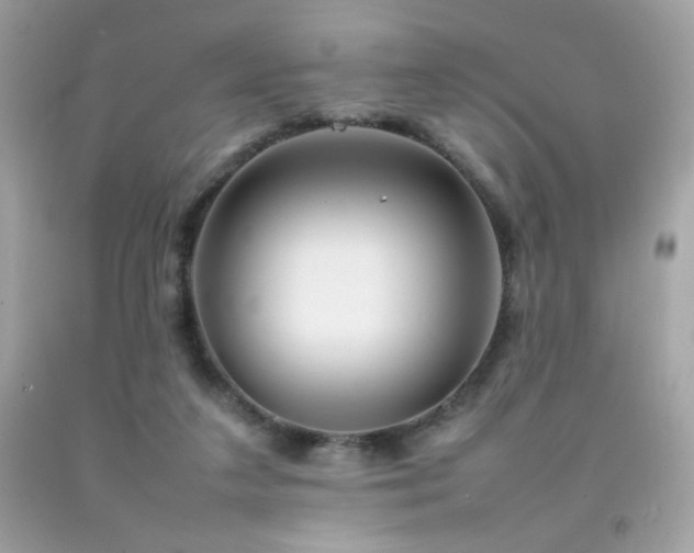 X0000092090211200709121519