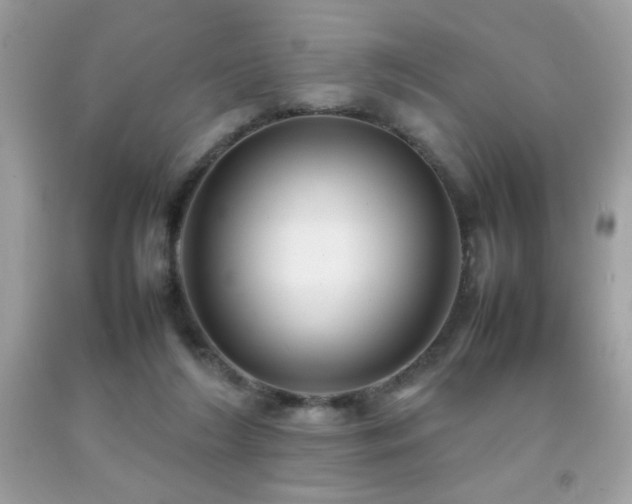 X0000092090212200709121519