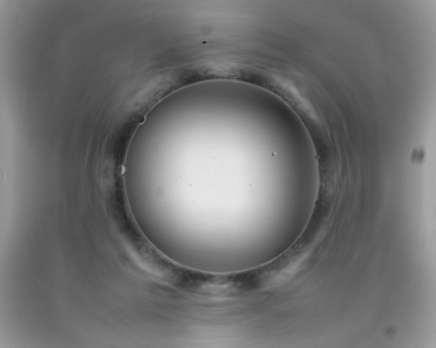 X0000092090213200709121519