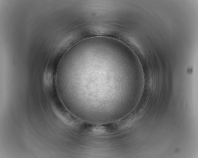 X0000092090214200709121519