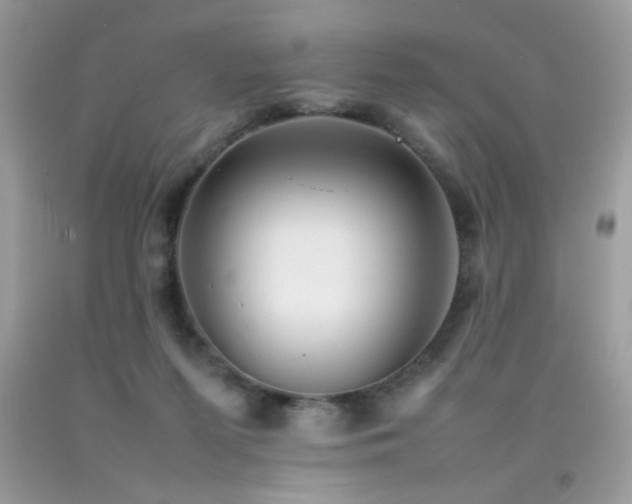 X0000092090215200709121519