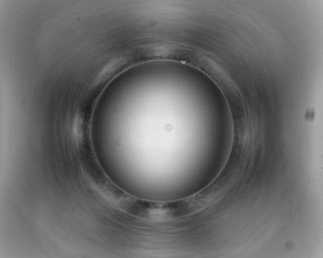X0000092090216200709121519