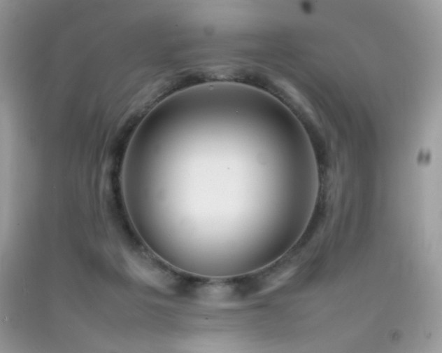 X0000092090217200709121519