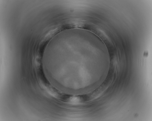 X0000092090218200709121519