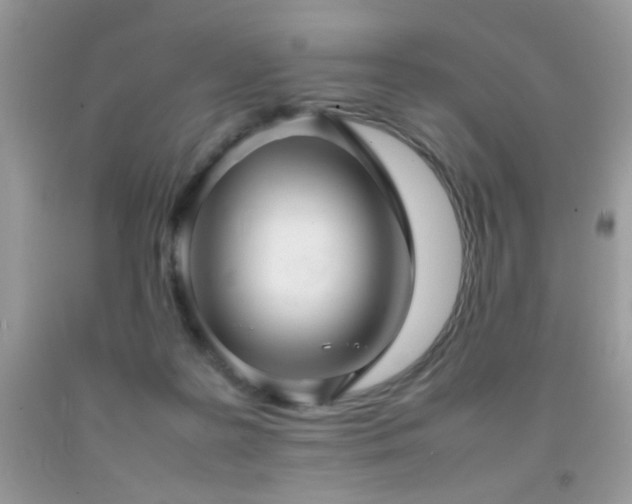 X0000092090219200709121519