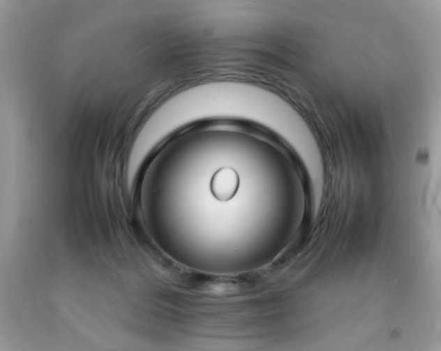 X0000092090220200709121519