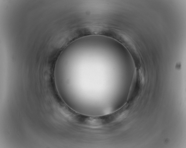 X0000092090221200709121519