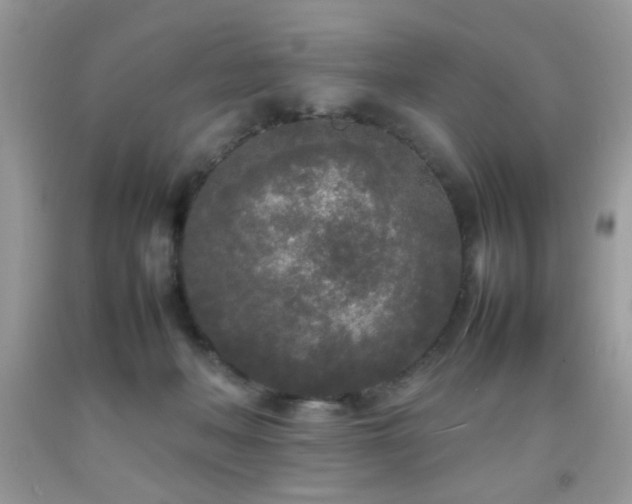 X0000092090222200709121519