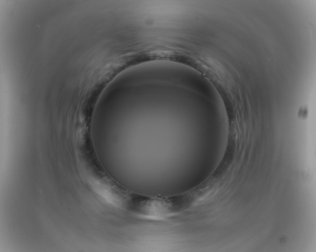 X0000092090223200709121519