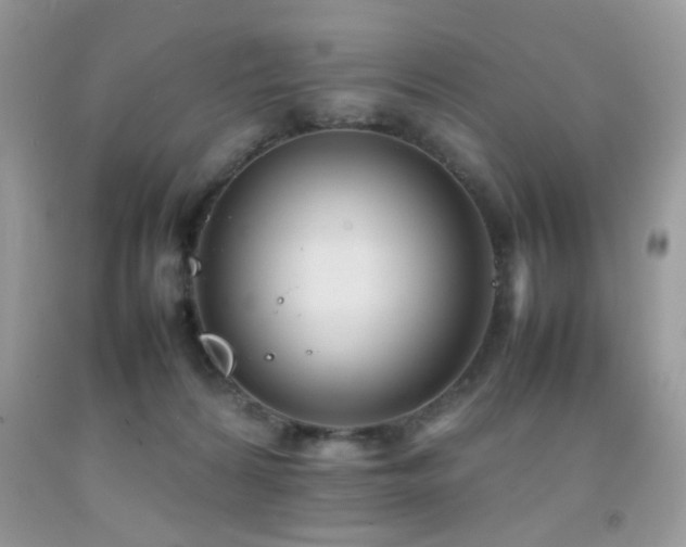 X0000092090224200709121519
