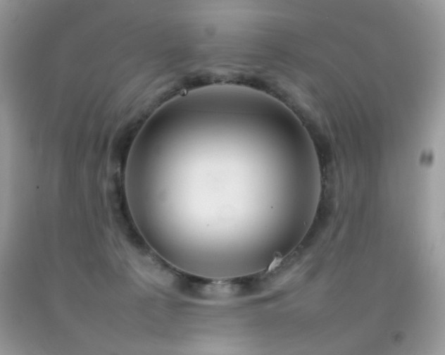 X0000092090225200709121519