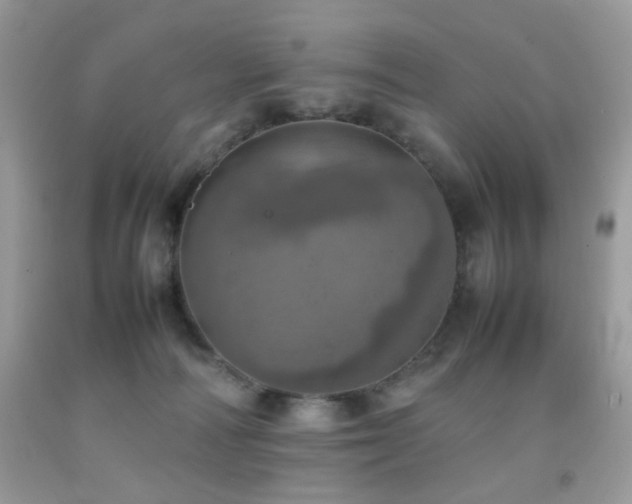 X0000092090226200709121519