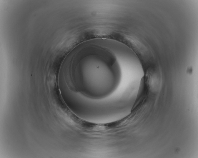 X0000092090227200709121519