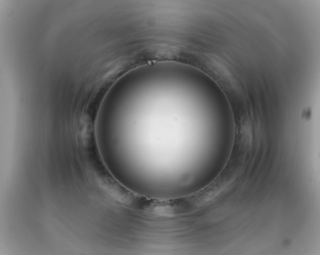 X0000092090228200709121519