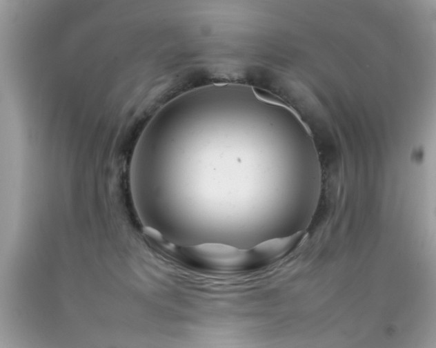 X0000092090229200709121519