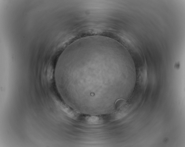 X0000092090230200709121519