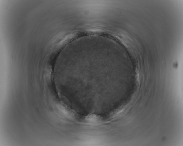 X0000092090231200709121519