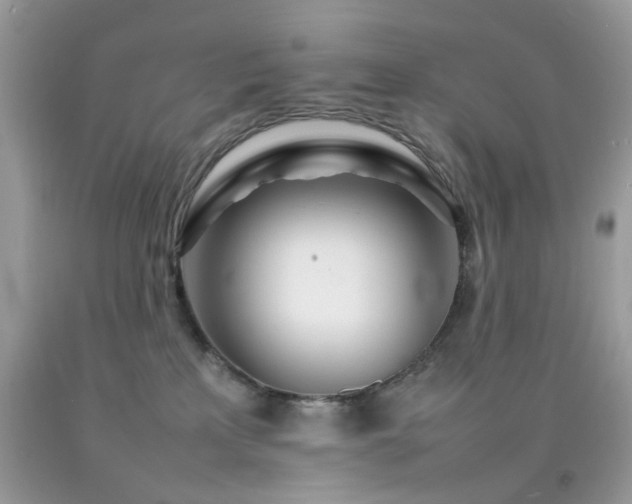 X0000092090233200709121519