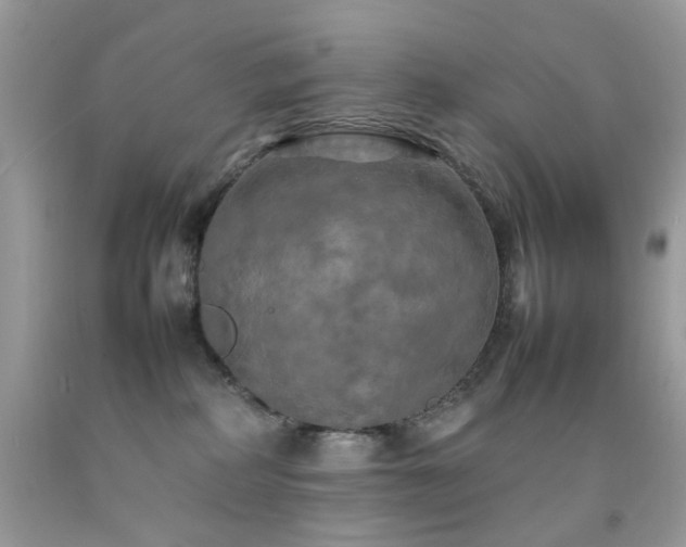X0000092090234200709121519