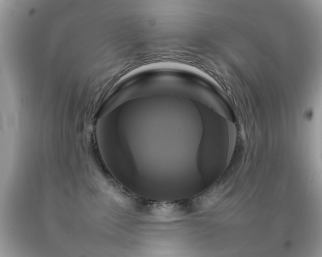 X0000092090235200709121519