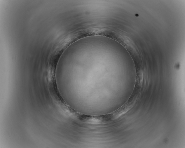 X0000092090236200709121519