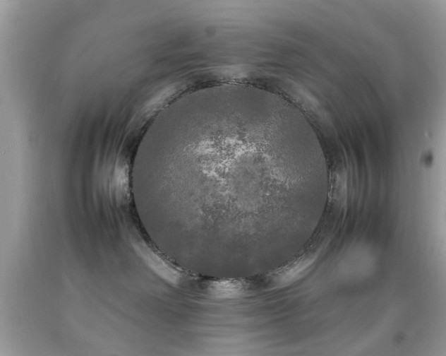 X0000092090238200709121518