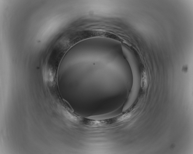 X0000092090239200709121518