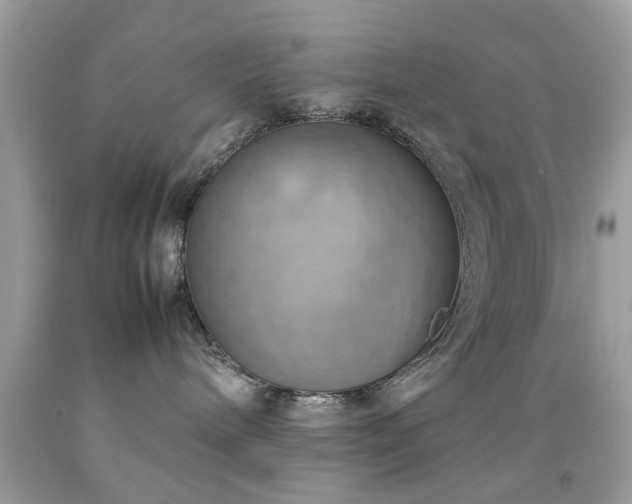 X0000092090240200709121518